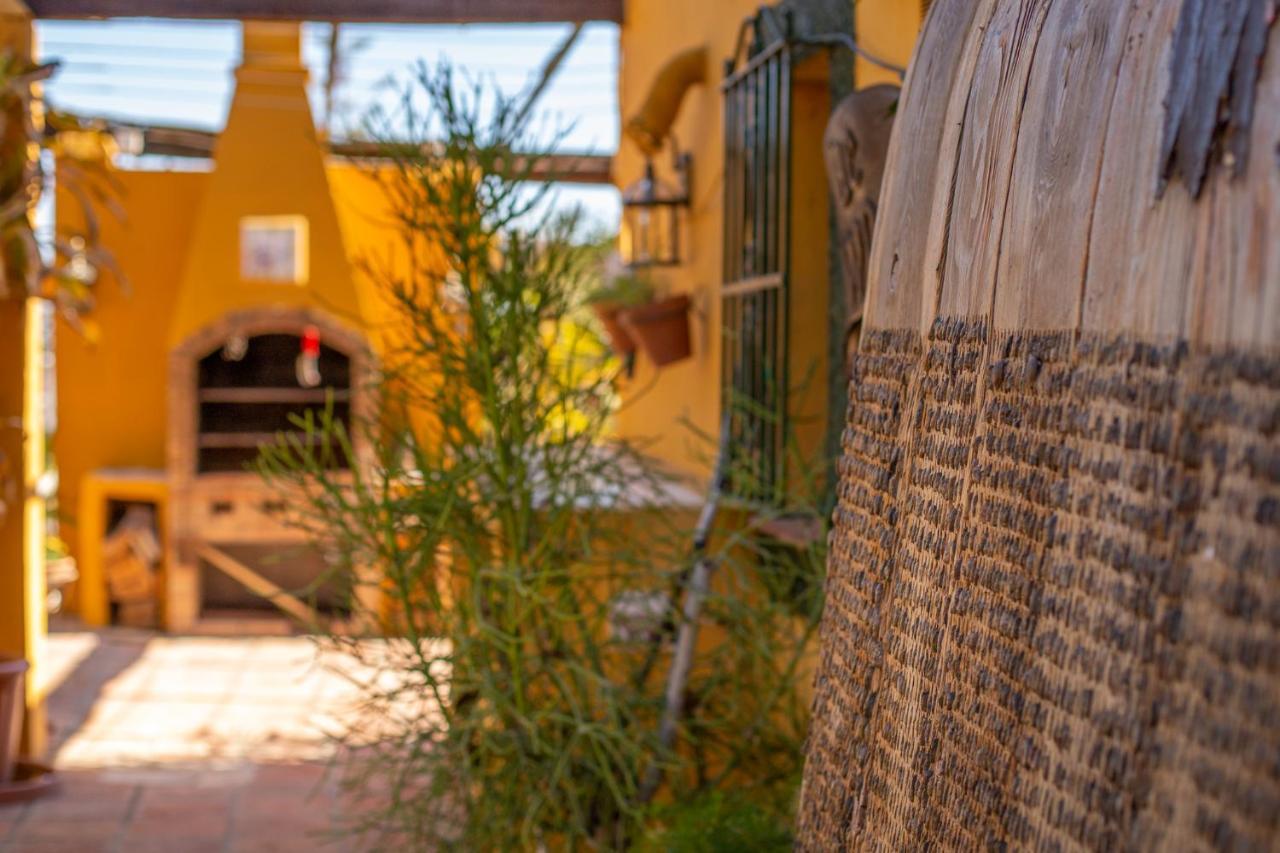 Hanami Finca Cumbres Borrascosas Εστεπόνα Εξωτερικό φωτογραφία